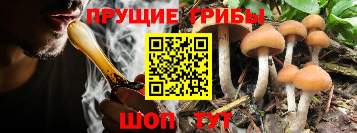 Галлюциногенные грибы MAGIC MUSHROOMS Отрадное