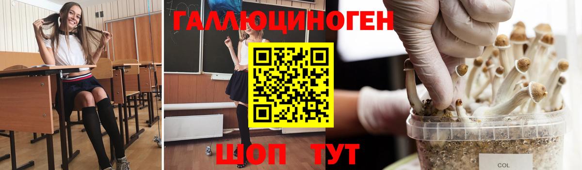 Галлюциногенные грибы GOLDEN TEACHER  закладки  Отрадное  Вход с VPN 